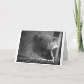 Jours lents, carte (Devant)