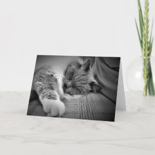 Jours lents, carte