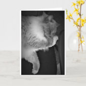 Jours lents, carte (Fleur jaune)