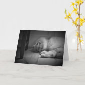 Jours lents, carte (Fleur jaune)