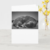 Jours lents, carte (Fleur jaune)