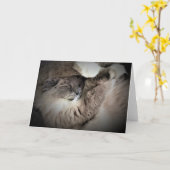 Jours lents, carte (Fleur jaune)