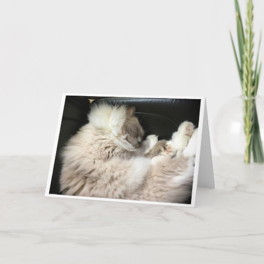 Jours lents, carte (Devant)