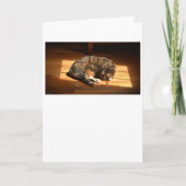 Jours lents, carte (Devant)