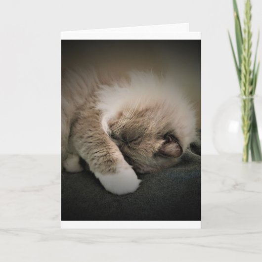 Jours lents, carte (Devant)