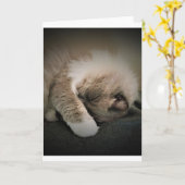 Jours lents, carte (Fleur jaune)