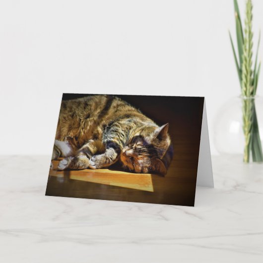 Jours lents, carte (Devant)