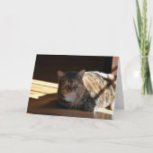 Jours lents, carte (Devant)