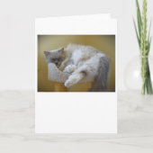 Jours lents, carte (Devant)