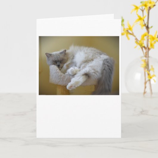 Jours lents, carte (Fleur jaune)