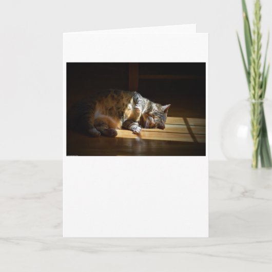 Jours lents, carte (Devant)