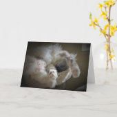 Jours lents, carte (Fleur jaune)