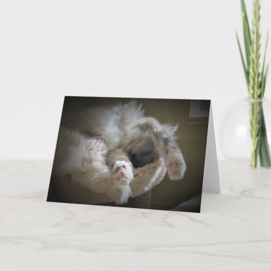 Jours lents, carte (Devant)