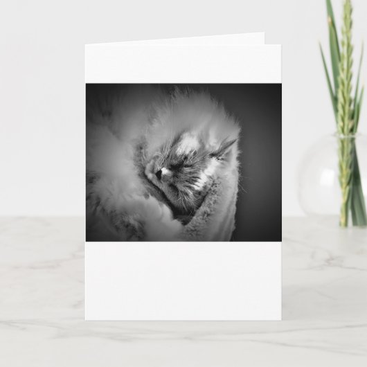 Jours lents, carte (Devant)