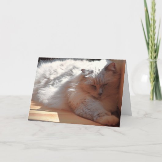 Jours lents, carte (Devant)