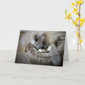 Jours lents, carte (Fleur jaune)