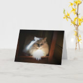 Jours lents, carte (Fleur jaune)