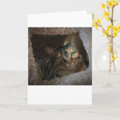 Jours lents, carte (Fleur jaune)