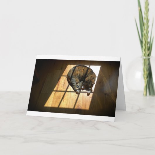 Jours lents, carte (Devant)