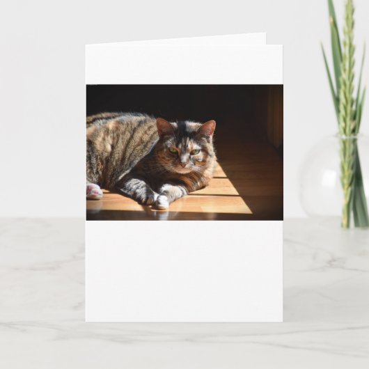 Jours lents, carte (Devant)