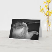 Jours lents, carte (Fleur jaune)