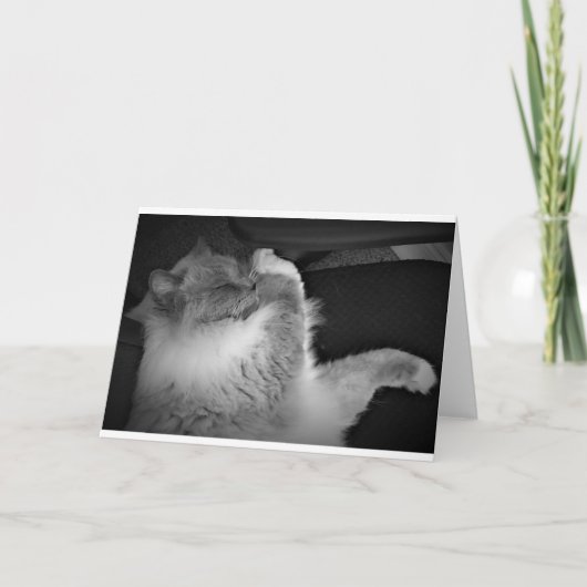 Jours lents, carte (Devant)