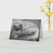 Jours lents, carte (Fleur jaune)