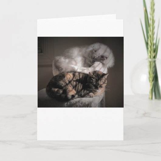 Jours lents, carte (Devant)