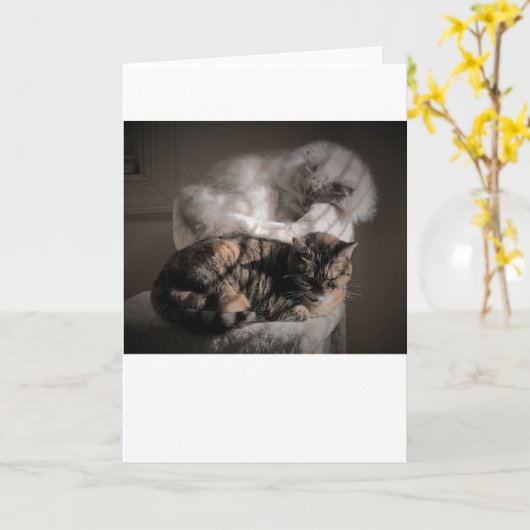 Jours lents, carte (Fleur jaune)