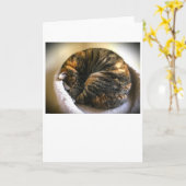 Jours lents, carte (Fleur jaune)