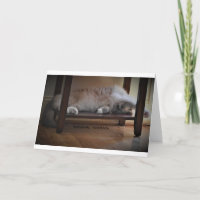 Jours lents, carte