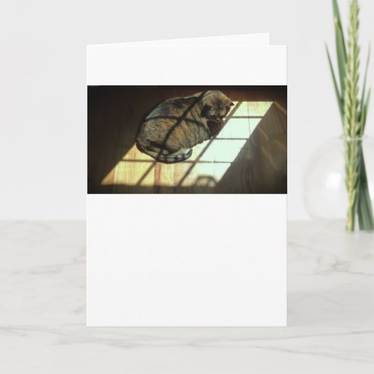 Jours lents, carte (Devant)