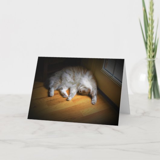 Jours lents, carte (Devant)