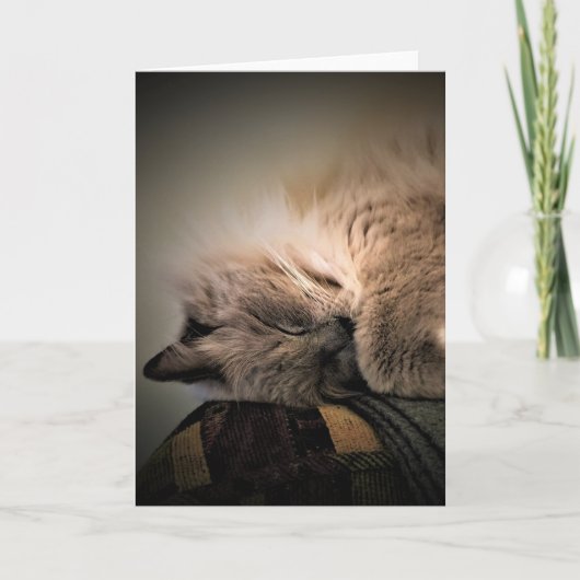 Jours lents, carte (Devant)