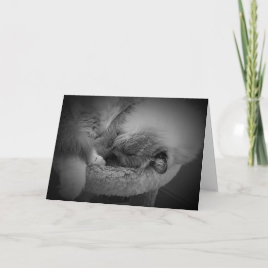 Jours lents, carte (Devant)