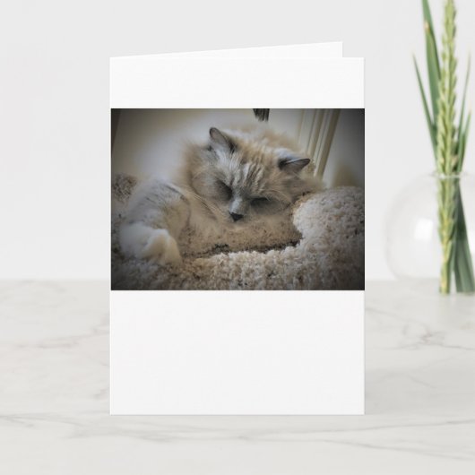 Jours lents, carte (Devant)