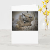 Jours lents, carte (Fleur jaune)