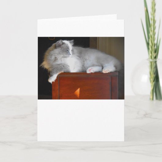 Jours lents, carte (Devant)