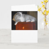 Jours lents, carte (Fleur jaune)