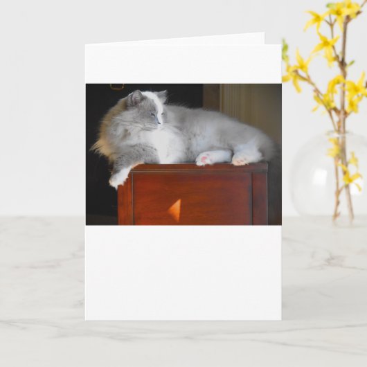 Jours lents, carte (Fleur jaune)