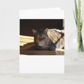 Jours lents, carte (Devant)