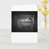 Jours lents, carte (Fleur jaune)