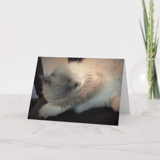 Jours lents, carte (Devant)