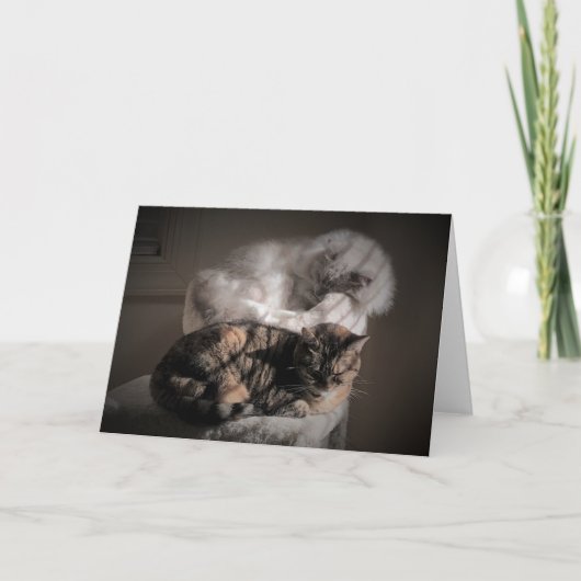 Jours lents, carte (Devant)