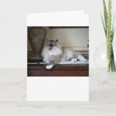 Jours lents, carte (Devant)