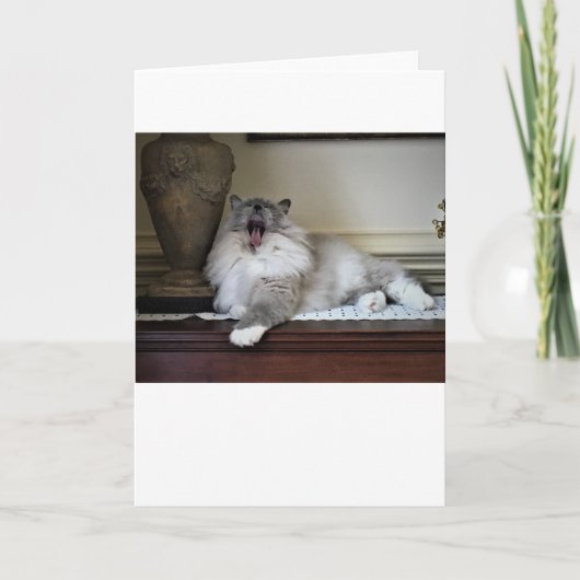 Jours lents, carte (Devant)