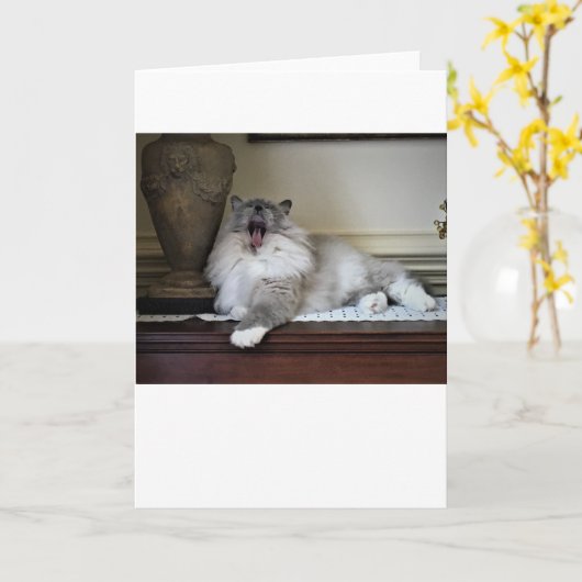 Jours lents, carte (Fleur jaune)