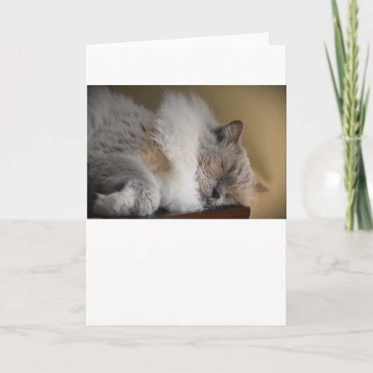 Jours lents, carte (Devant)