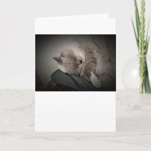 Jours lents, carte (Devant)