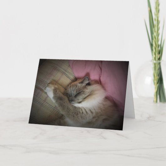 Jours lents, carte (Devant)